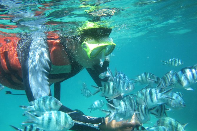 Snorkeling Tour at Blue Lagoon with Private Hotel Transfer - Who will enjoy this outing most