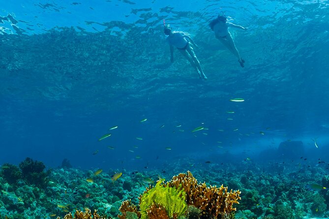 Snorkeling Trip to Menjangan Island - Equipment, Safety, and Comfort on the Water