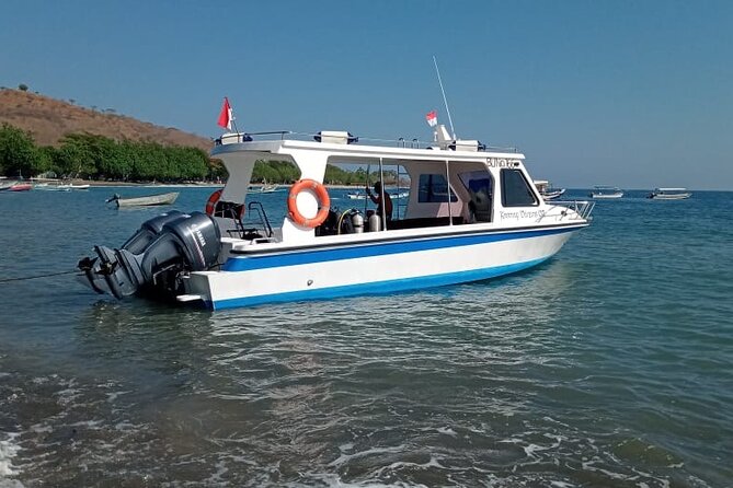 Snorkeling Trip to Menjangan Island - Staff, Communication, and Organization