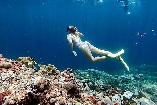 Snorkeling Trips with Manta Ray from Nusa Lembongan - Boats, group size, and the feel of the day