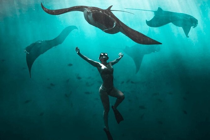 Snorkeling with Manta Rays in Nusa Penida Experience (All-Inclusive) - Why the manta search makes this day special