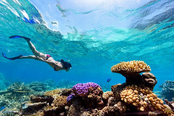 Snorkeling with Manta Rays in Nusa Penida Experience (All-Inclusive) - The early start from Seminyak and other Bali bases