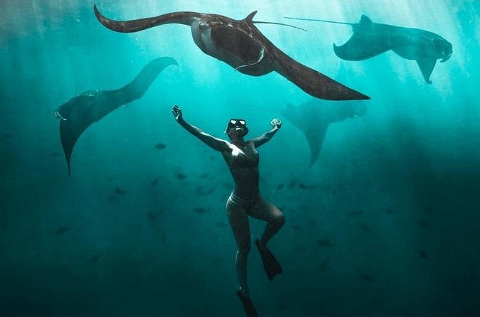 Snorkeling with Manta Rays in Nusa Penida Experience (All-Inclusive) - Lunch on the island and what all-inclusive really covers