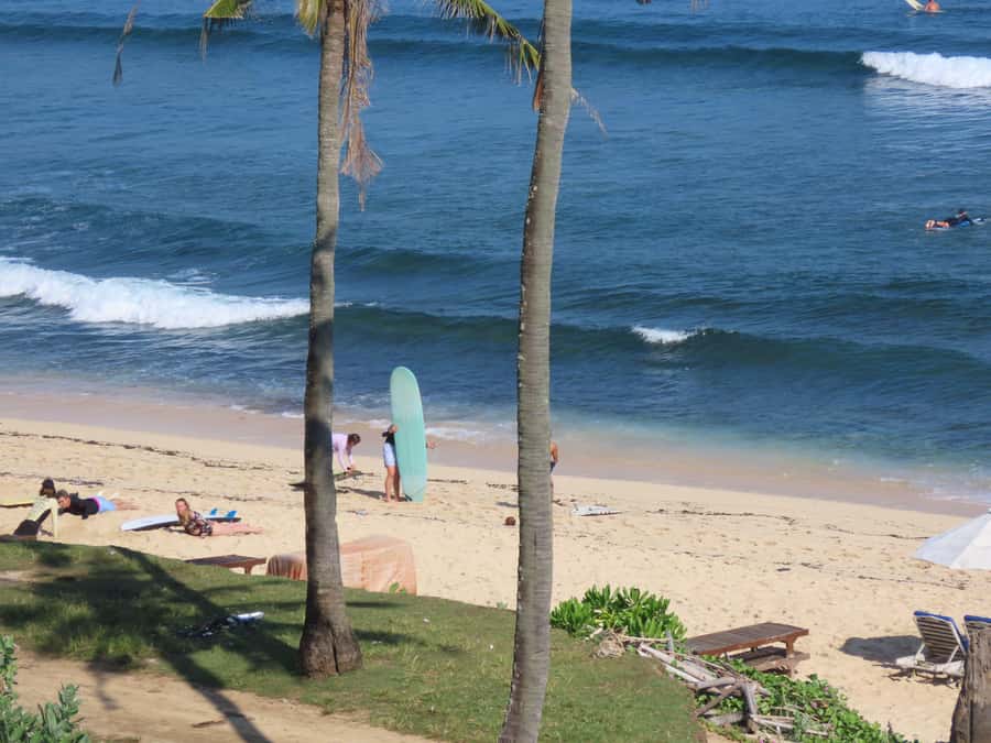 Surf Lessons in Uluwatu for All Levels - Should you book Soulflow Surf Bali?