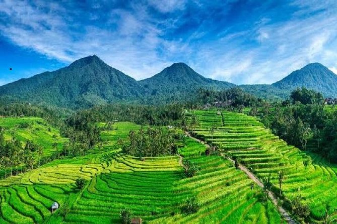 Tanah Lot - Jatiluwih (UNESCO) - Beratan lake -Hidden hill (Wanagiri)-FREE WI-FI - Timing, entrance fees, and the real value