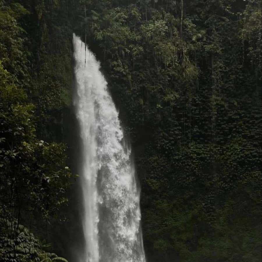 Tanah Lot-Nung Nung Waterfall-Jatiluwih and Bedugul - Tanah Lot at sunset