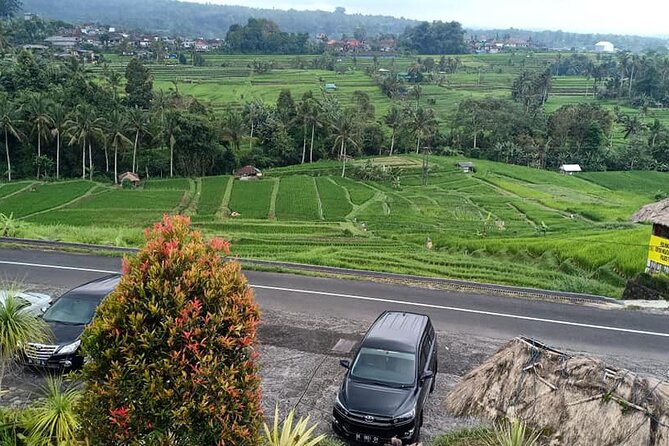 Tanah Lot Tour & North Bali Tour : All-Inclusive Best Experience - What the $85 price really covers