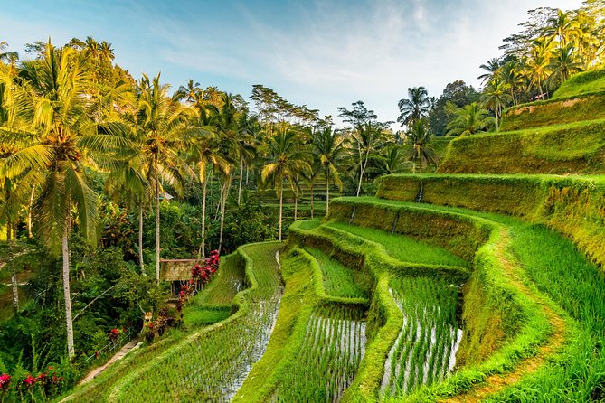 Tanah Lot Tour with Ubud Monkey Forest, Rice Terraces, and Waterfalls - Tanah Lot and the problem with sunset timing