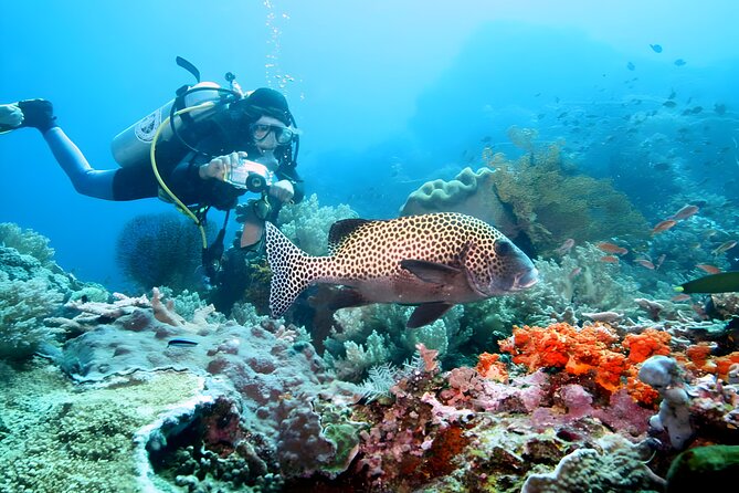 Tanjung Benoa Water Sports: All Inclusive Bali Activities - Safety, age limits, and comfort