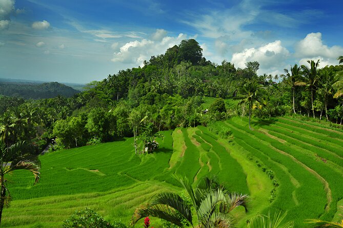 Telaga Waja White Water Rafting and Besakih Temple Tour - Who will get the most from this tour