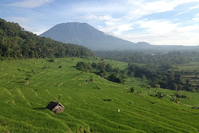 Tenganan Village Rice Field Trekking Tour - Why this East Bali walk is different