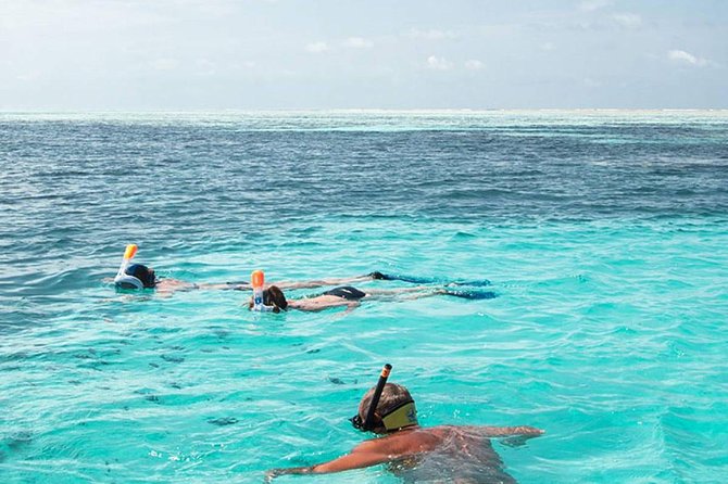 The Best 2-point Snorkeling in Padangbai: Blue lagoon and Tanjung jepun - Two reefs, one morning in Padangbai