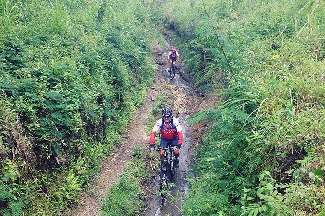 The Volcano Trail - Key points before you book