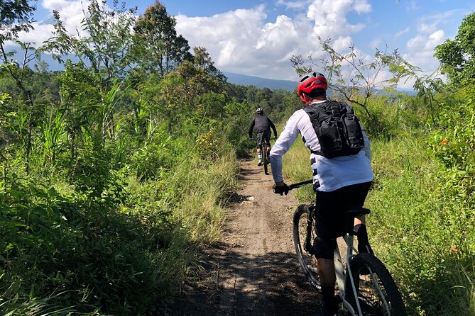 The Volcano Trail - Forest, bamboo, and rolling trail