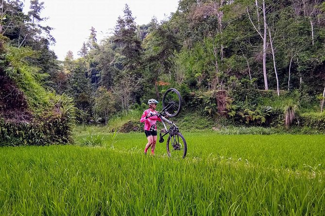 The Volcano Trail - Rice paddies, villages, and the second half of the ride