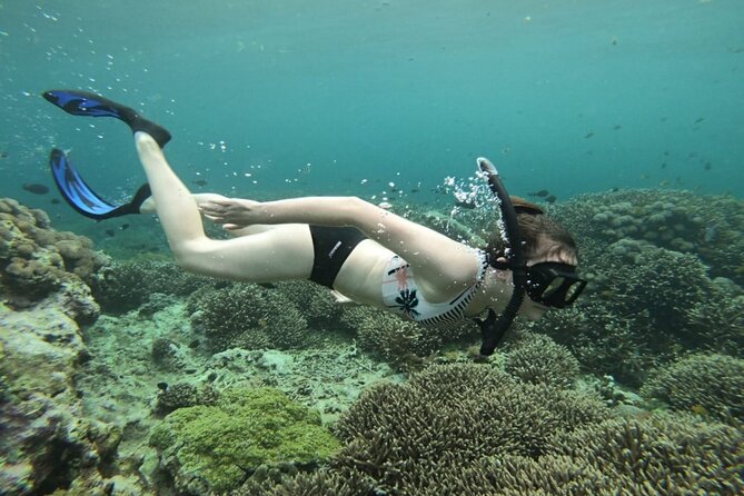 Three Islands Snorkeling (3 Spots) Manta Rays - From Lembongan - Why the manta-ray stop makes this trip special