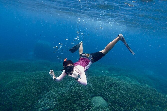 Three Islands Snorkeling (3 Spots) Manta Rays - From Lembongan - How the three to four hours usually work
