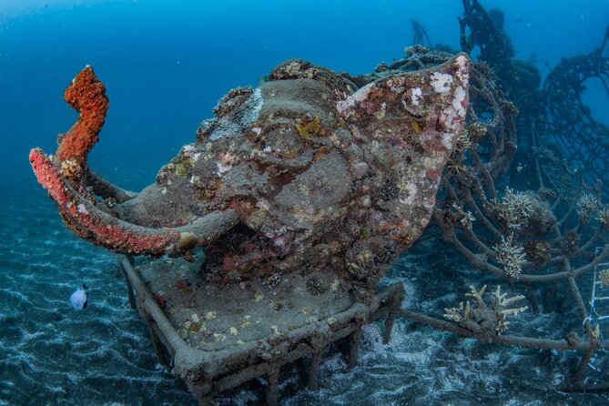 Try Dive Program in the Biorock Pemuteran - The Biorock session lasts up to one hour