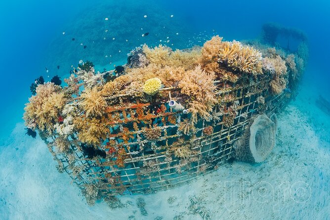 Try Dive Program in the Biorock Pemuteran - A calm finish with debriefing and a shower