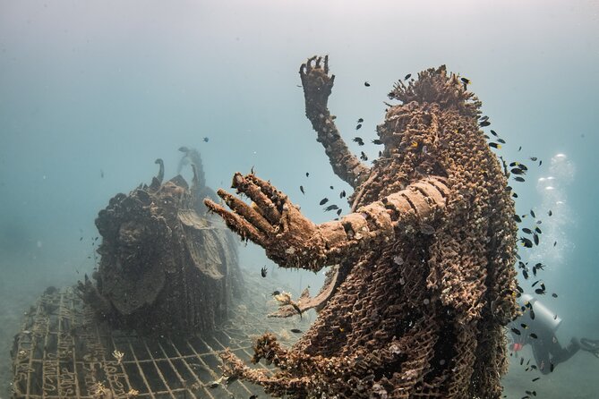 Try Dive Program in the Biorock Pemuteran - What the $51.67 price really covers