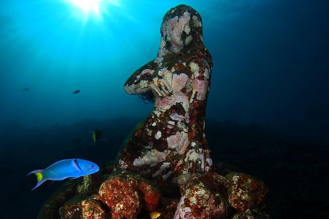 Try Diving at USAT Liberty Wreck Tulamben with 1 or 2 Dives (Stay In Tulamben) - What the guides add to the experience