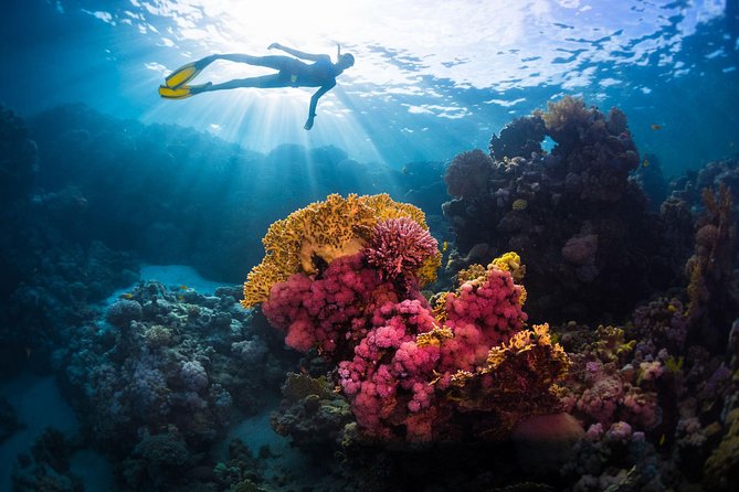 Try Freediving on Nusa Penida - What this Nusa Penida lesson really teaches