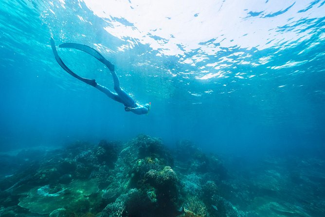 Try Freediving on Nusa Penida - What is included for $150