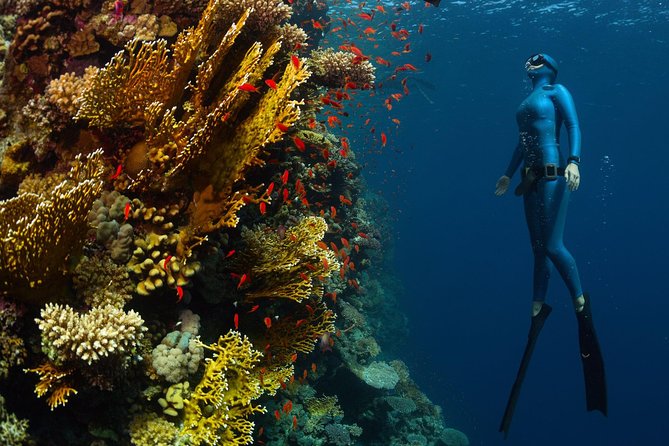 Try Freediving on Nusa Penida - Who should book this experience