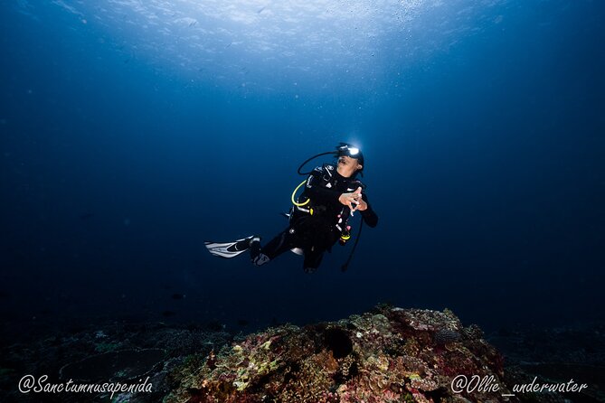 Try Scuba Diving for Beginners with manta rays (Non - Certified) - Equipment, food, and what you need to bring