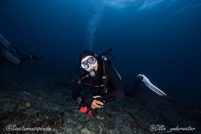 Try Scuba Diving for Beginners with manta rays (Non - Certified) - Two shallow ocean sessions near manta rays