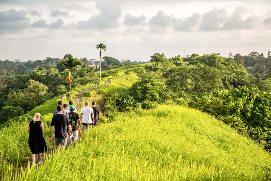 Ubud: 3-Hour Walking Tour with Lunch - Rice fields, jungle paths, and the subak system