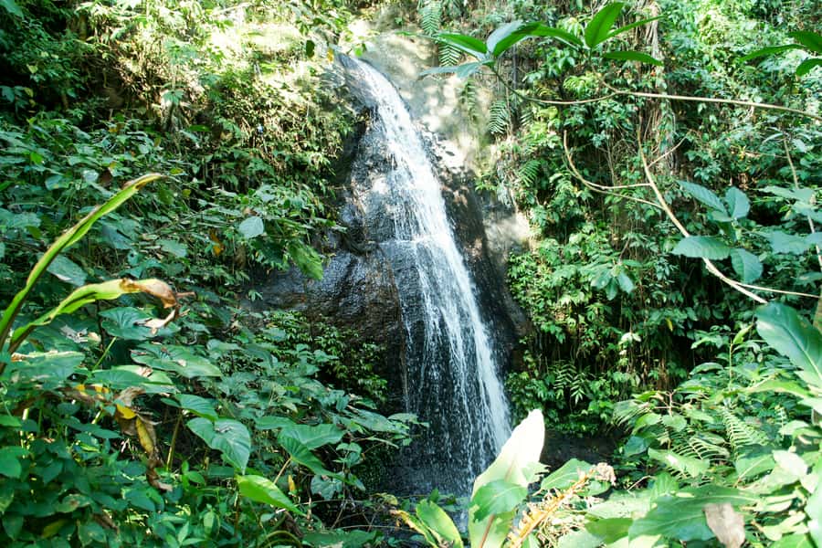 Ubud: 3-Hour Walking Tour with Lunch - Temples and village life along the way