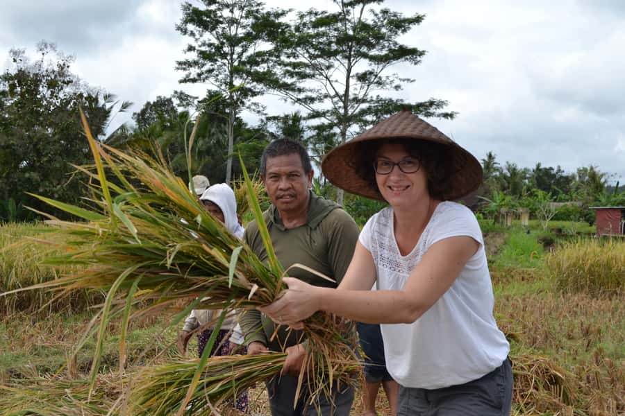 Ubud: 3-Hour Walking Tour with Lunch - Coffee, herbal teas, and the plantation stop