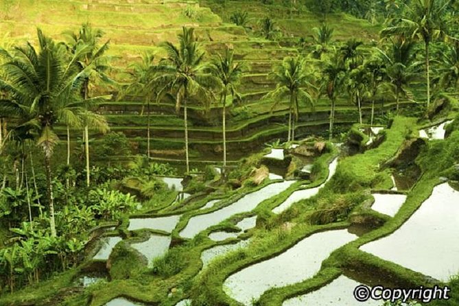 Ubud And Sunset Tanah Lot Tour - The long ride to Tanah Lot