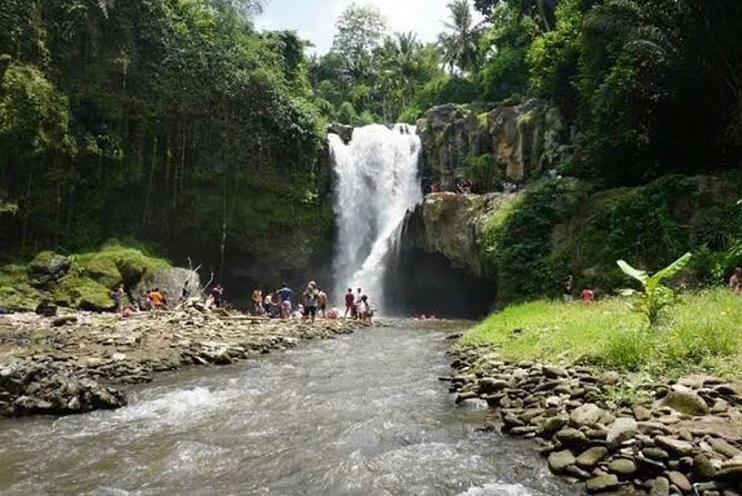 Ubud And Sunset Tanah Lot Tour - What your private driver adds