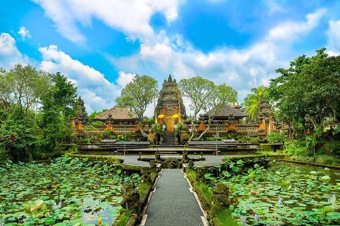 Ubud Bali: Rice Terrace, Waterfall and Tirta empul Day Tour - Tegalalang Rice Terrace and the final view