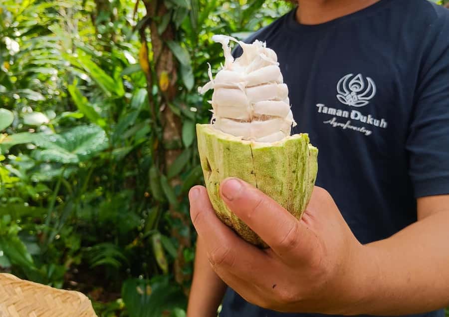 Ubud: Balinese Cooking Class at an Organic Farm - A welcome breakfast among the plants