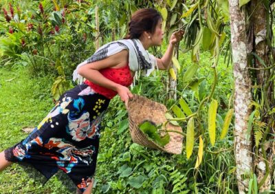Balinese Cooking Class at an Organic Farm