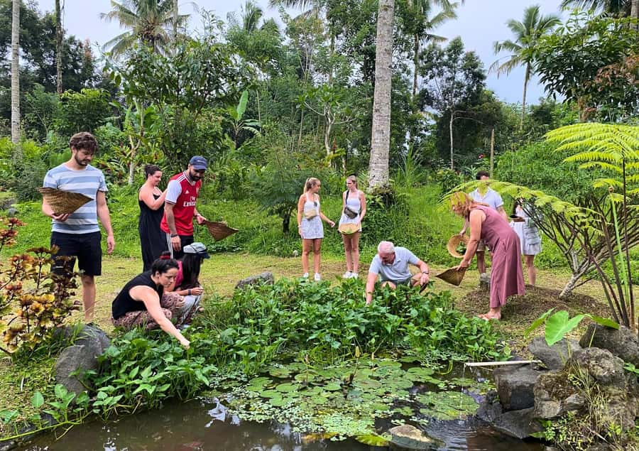 Ubud: Balinese Cooking Class at an Organic Farm - Six dishes, then a very large meal