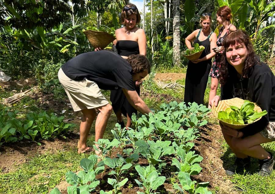 Ubud: Balinese Cooking Class at an Organic Farm - Why the $32 price works