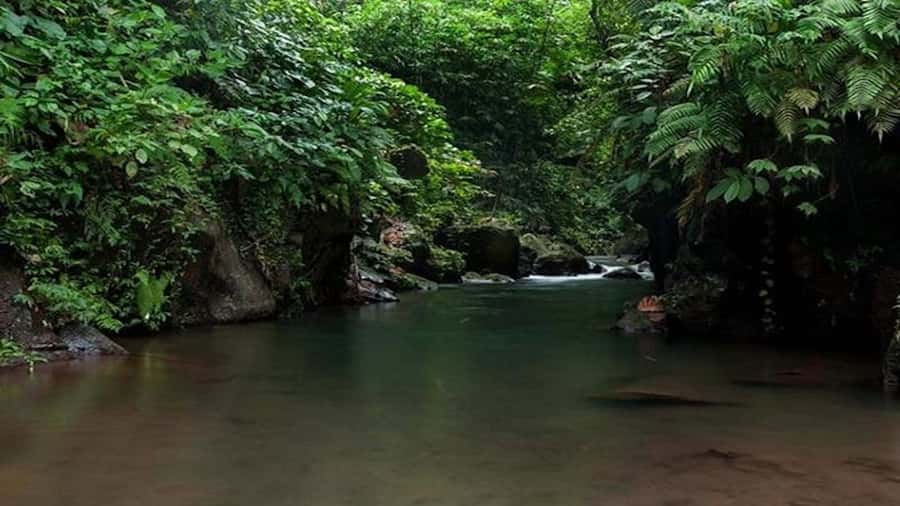 Ubud: Bayad Village, Waterfall and Cave Trek Adventure - Key points to know before you book