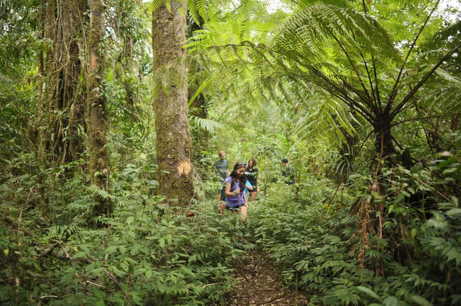 Ubud: Bayad Village, Waterfall and Cave Trek Adventure - Walking the 6 km Bayad trail
