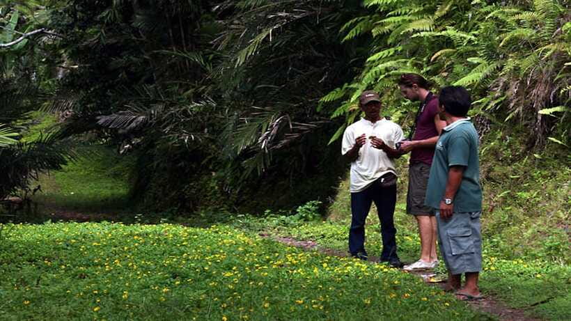 Ubud: Bayad Village, Waterfall and Cave Trek Adventure - Goa Maya, sacred statues, and Bali’s useful plants