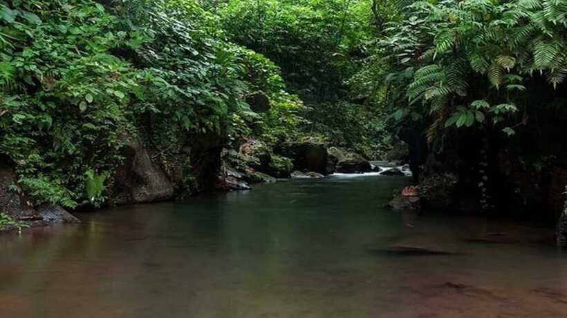 Ubud: Bayad Village, Waterfall and Cave Trek Adventure - Who should book this trek