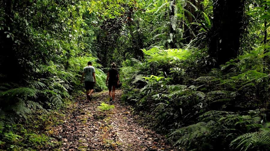 Ubud: Bayad Village, Waterfall and Cave Trek Adventure - Setting out from your Bali hotel
