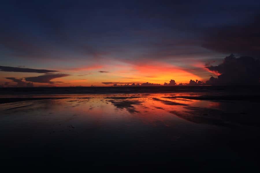 Ubud & Canggu: Rice Terrace, Waterfall & Black Sand Beach - The optional Luwak coffee visit