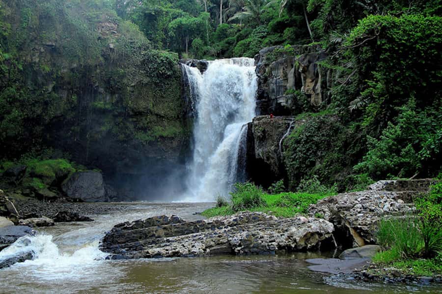 Ubud & Canggu: Rice Terrace, Waterfall & Black Sand Beach - Canggu and the black-sand sunset
