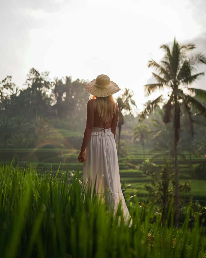 Ubud: Classic Vintage Volkswagen Custom Tour - Bali Swing and the photo stop