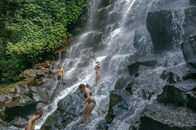Ubud Customized Private Tour - Tegalalang Rice Terrace and the subak system