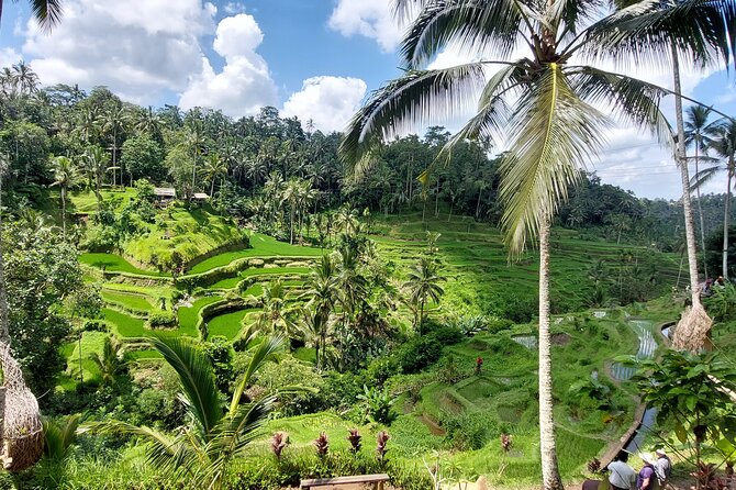 Ubud Customized Private Tour - Dewa Putu Toris and Batubulan art